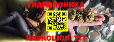 гашик Севастополь