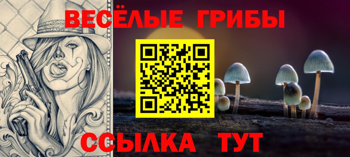 Алатырь  Псилоцибиновые грибы Psilocybine cubensis  хочу   Псилоцибиновые грибы Psilocybine cubensis  Вход с VPN 